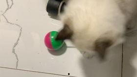 国产拍偷,揭秘镜头背后的偷拍艺术